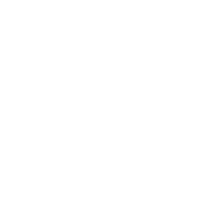 logo light
